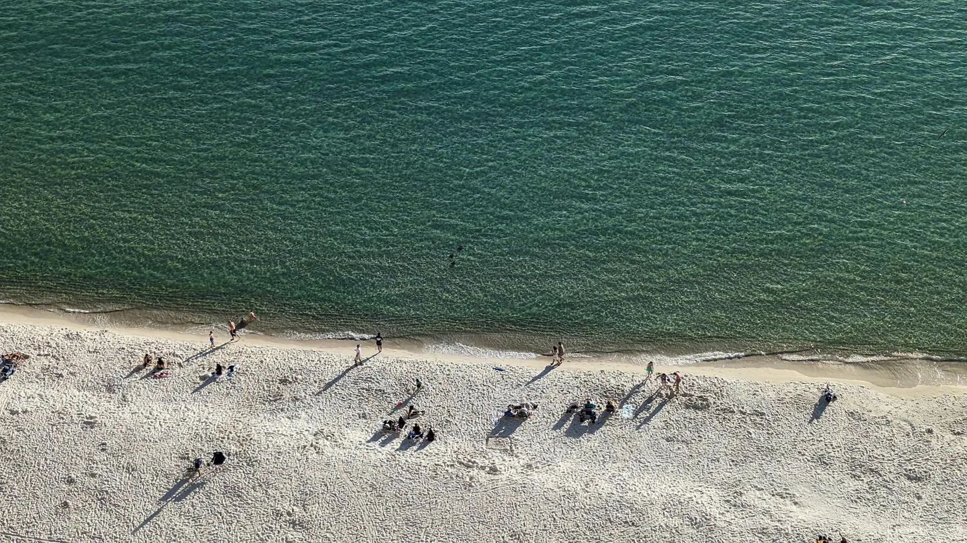 Apartment Beautiful Beach Front Condo! - Tidewater 1804 Panama Stadt